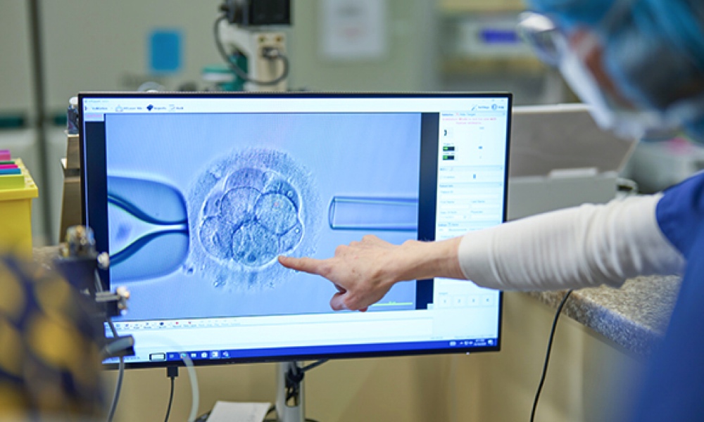 정자왕 앱 분석 화면